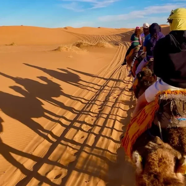 A moment from an AmazighSoul Morocco journey