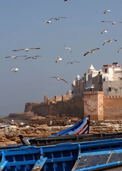 A moment from an AmazighSoul Morocco journey