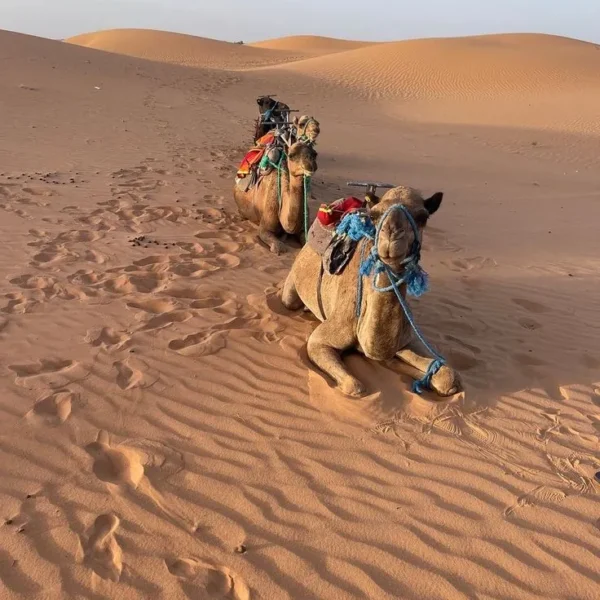 A moment from an AmazighSoul Morocco journey